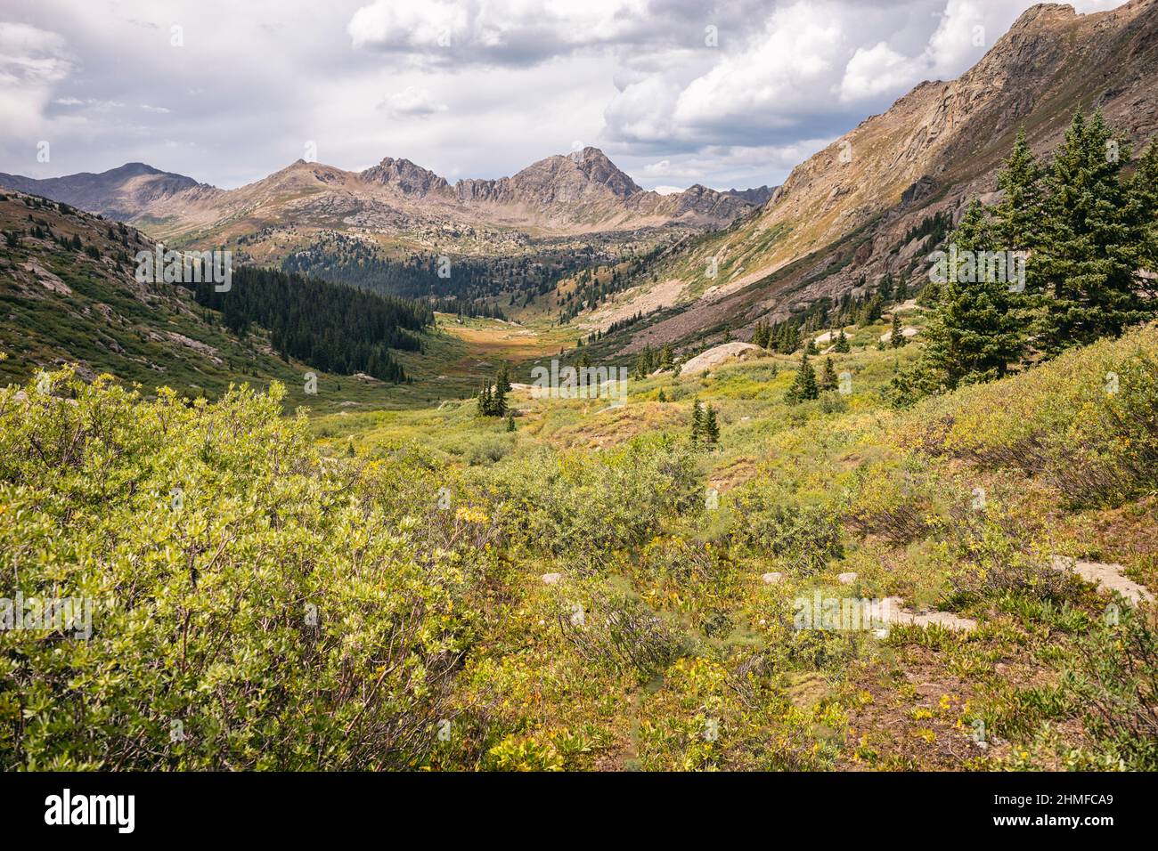 Paesaggio di montagna nella Hunter-Fryingpan Wilderness, Colorado Foto Stock