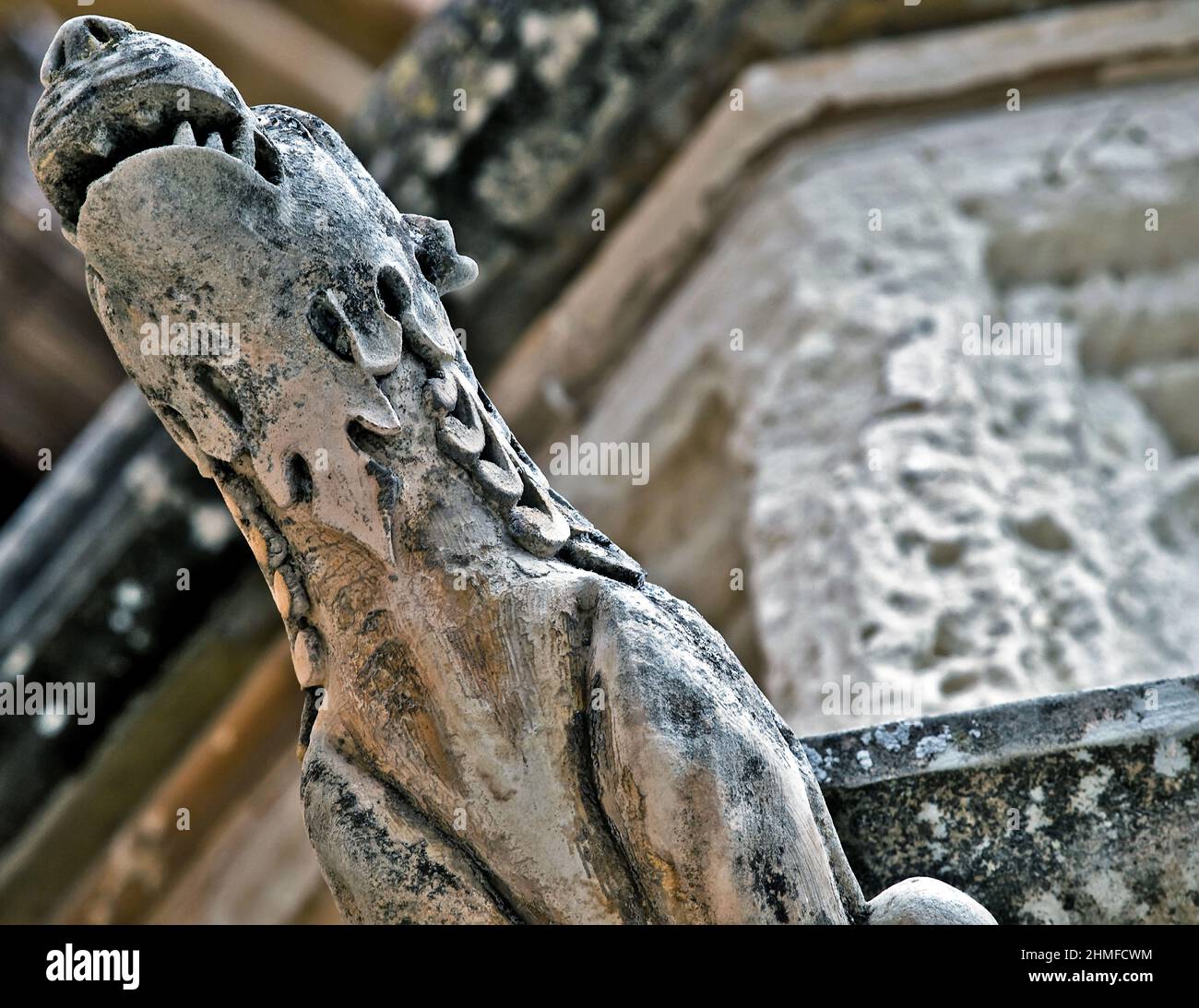 Gargoyle gotico a Mdina, Malta Foto Stock