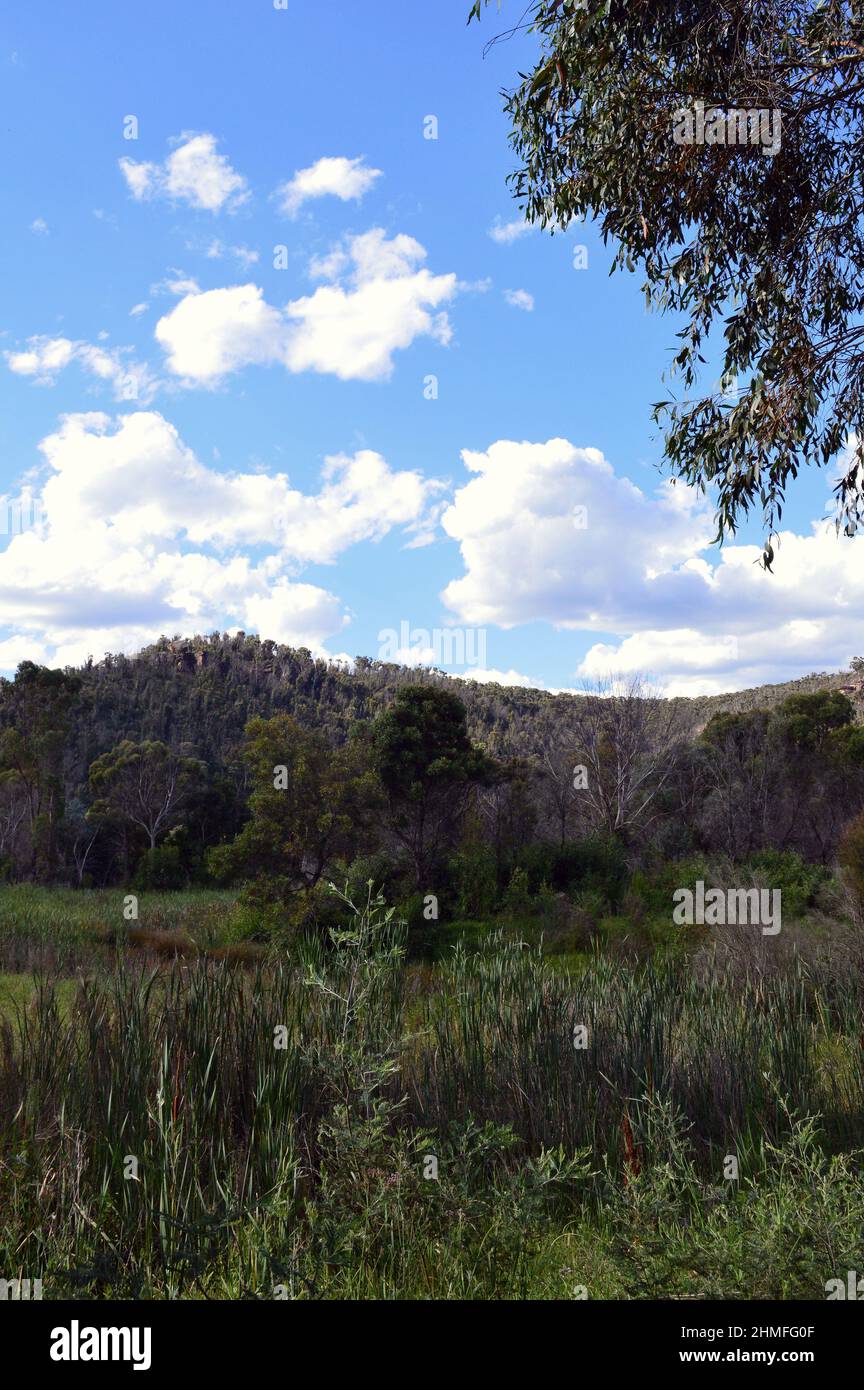 Vista delle zone umide del lago Pillans vicino a Lithgow, Australia Foto Stock