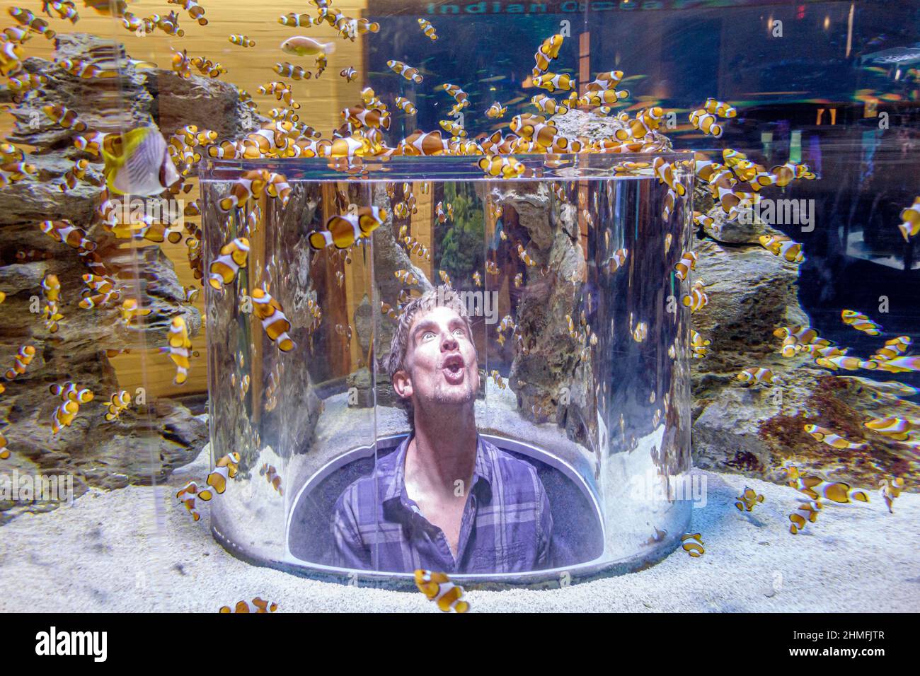 Città del Capo Sud Africa, V & A Victoria Alfred Waterfront, Two Oceans Aquarium, interno, mostra serbatoio di pesce, uomo maschio Looking Foto Stock