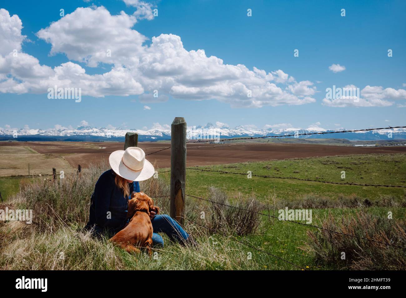 Donna e leale cocker spaniel condividere un momento insieme in un campo insieme con le montagne Teton sullo sfondo. Foto Stock
