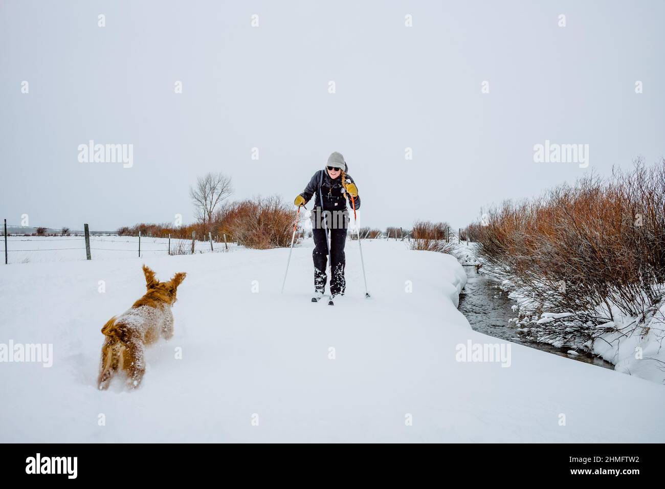 Ragazza sci di fondo con il cane che ha un tempo divertente. Foto Stock