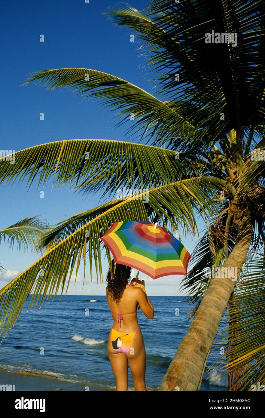 Capelli neri bella giovane donna di fronte a una palma indietro vista bikini giallo ambiente tropicale viaggi Foto Stock
