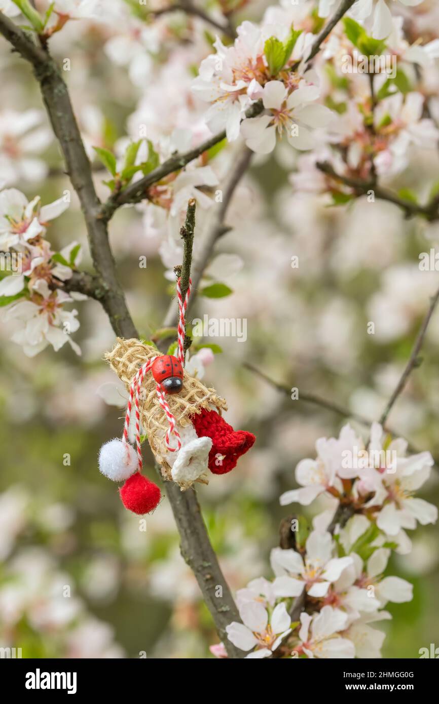 Rosso e bianco bellissimo martistore appeso sui rami dell'albero fiorente. Foto Stock