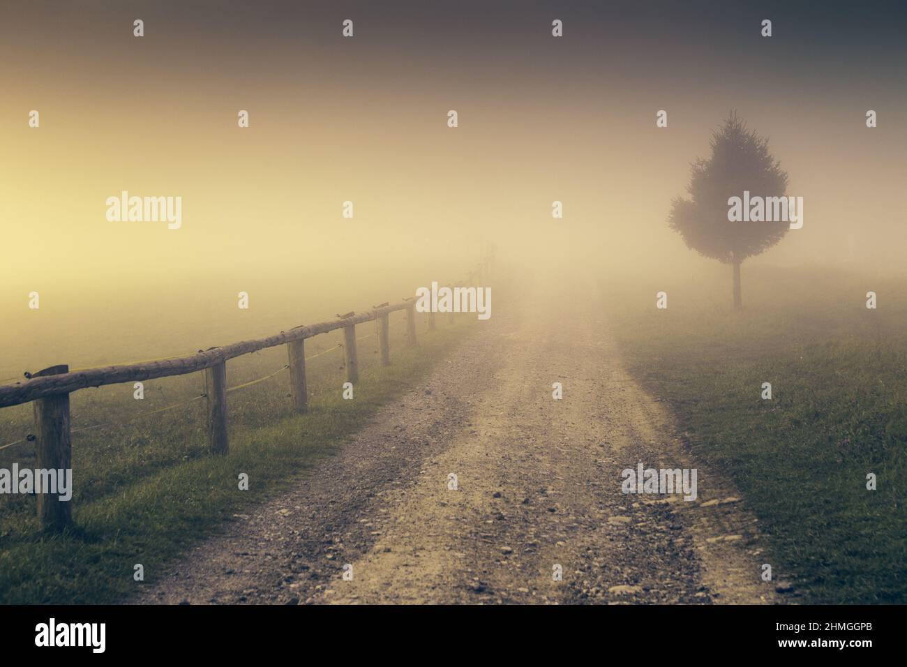 Una corsia attraverso il paesaggio nella nebbia. Foto Stock