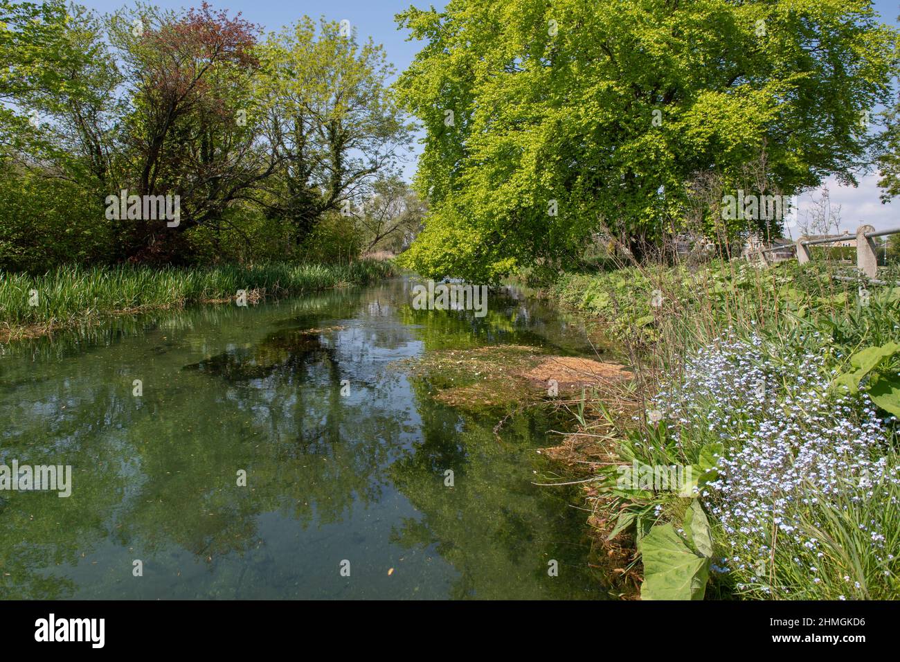 Il fiume Hull (West Beck) vicino al Bell Mills Garden Center a Driffield, East Yorkshire. Foto Stock