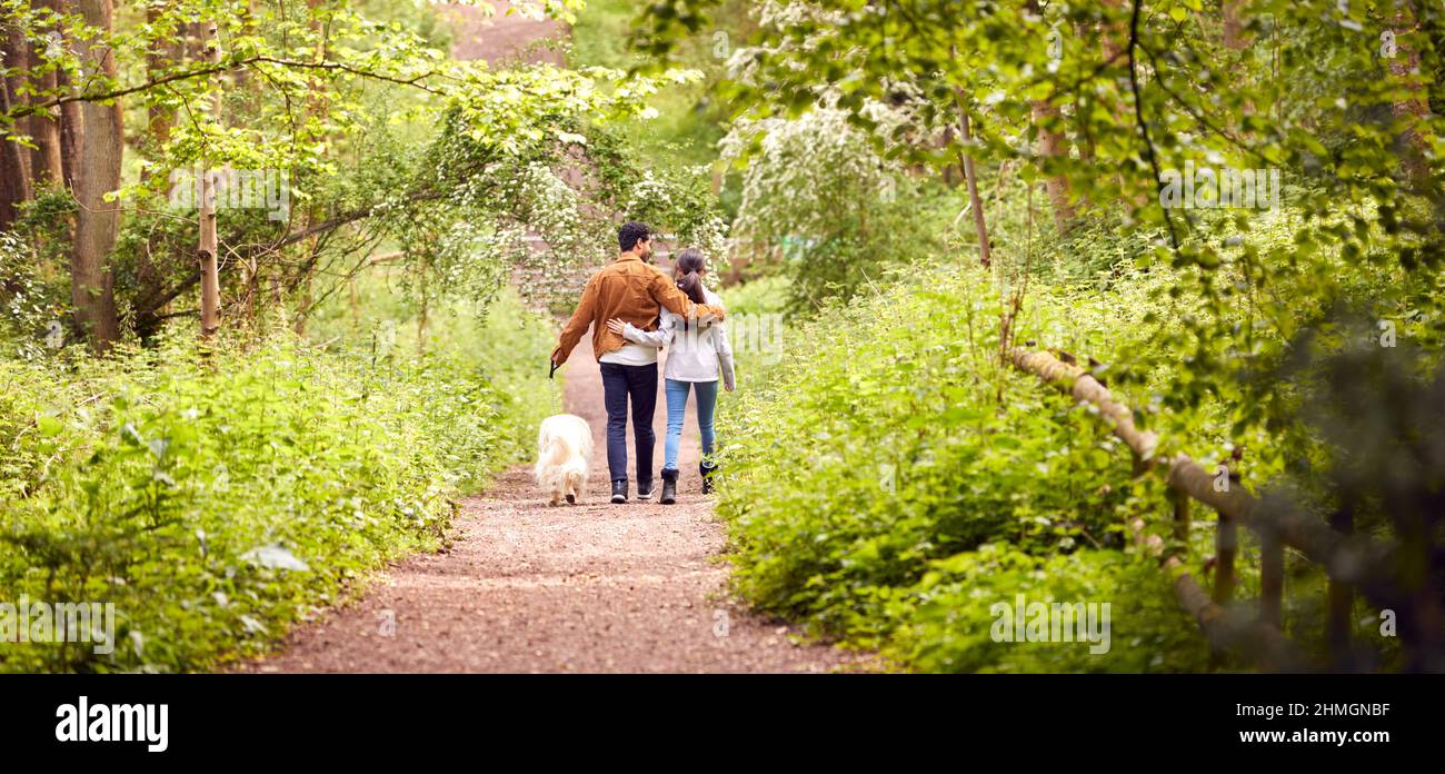 Vista posteriore della coppia con PET Dog camminando lungo il percorso attraverso gli alberi in campagna Foto Stock