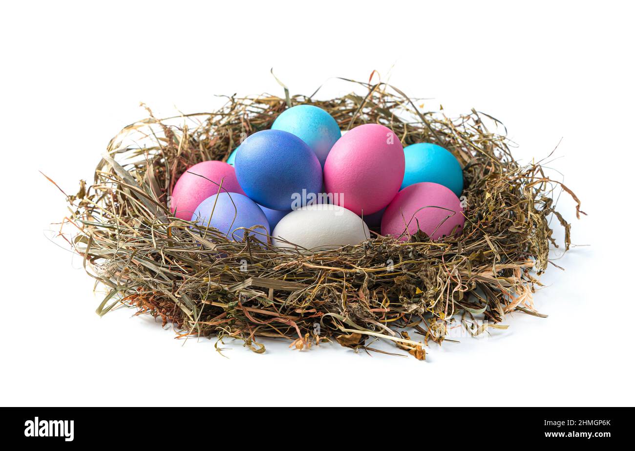 Uova di Pasqua in un nido isolato su sfondo bianco. Primo piano. Foto Stock