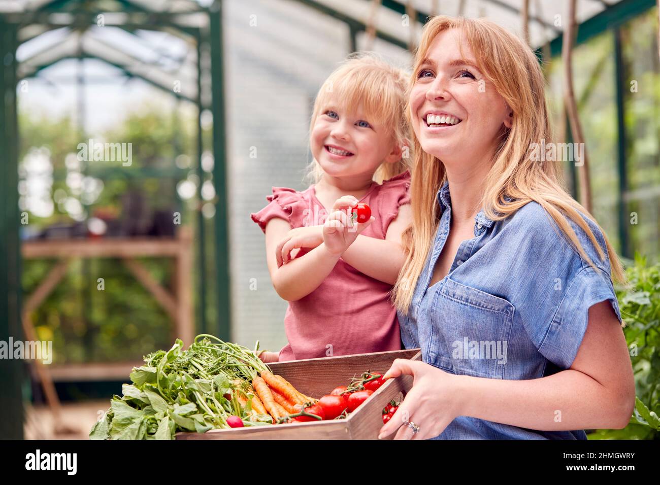 Madre e figlia che tiene la scatola delle verdure coltivate in casa in serra Foto Stock
