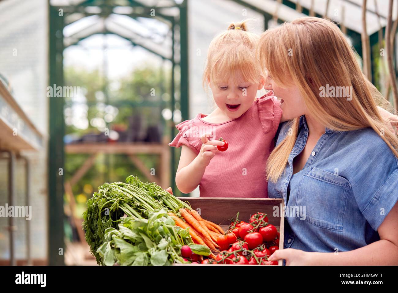 Madre e figlia che tiene la scatola delle verdure coltivate in casa in serra Foto Stock
