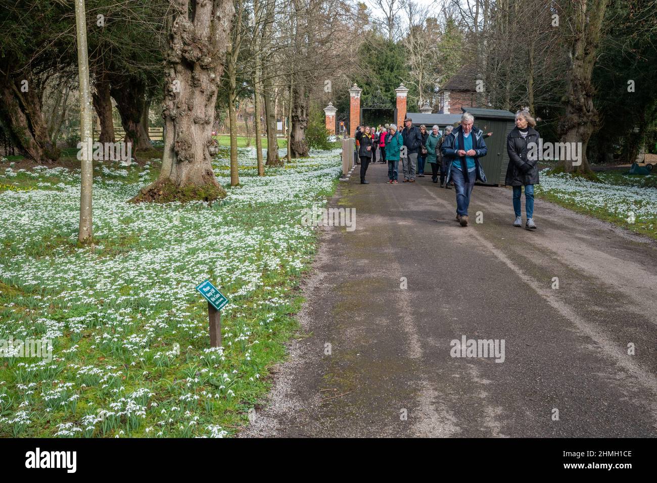 I visitatori del Welford Park, un giardino famoso per le sue nevicate durante il mese di febbraio nel West Berkshire, Inghilterra, Regno Unito Foto Stock