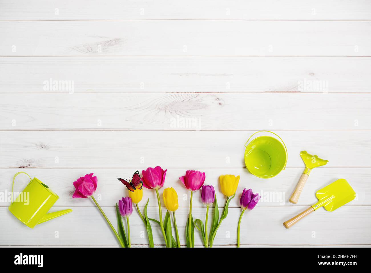 Biglietto d'auguri per le vacanze di pasqua. Tulipani, farfalla, , sfondo in legno. Foto Stock