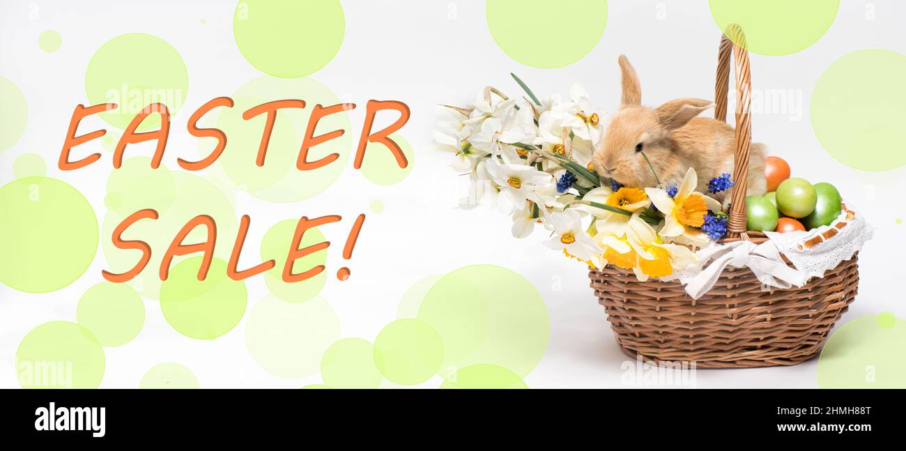 Un lungo banner con il testo di Pasqua vendita con un bel coniglio in un cestino e uova dipinte. Foto Stock