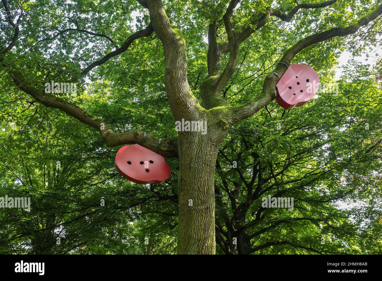 Marl, Renania settentrionale-Vestfalia, Germania - opera d'arte Vehohr di Bogomir Ecker, opere d'arte nel Friedenspark, il vecchio cimitero di Brassert. Il vecchio cimitero, con il parco delle sculture e le sculture nello spazio pubblico, fa parte delle strutture all'aperto del museo delle sculture del Glaskasten. Foto Stock