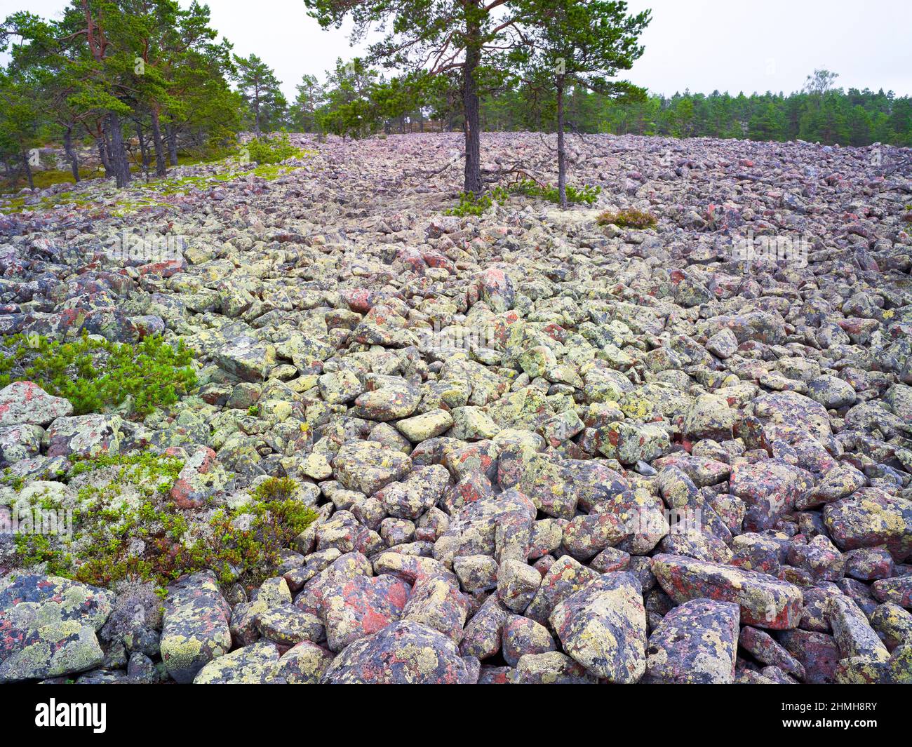 Europa, Svezia, Svezia settentrionale, provincia di Angermanland, patrimonio naturale mondiale dell'UNESCO "Höga Kusten" Foto Stock