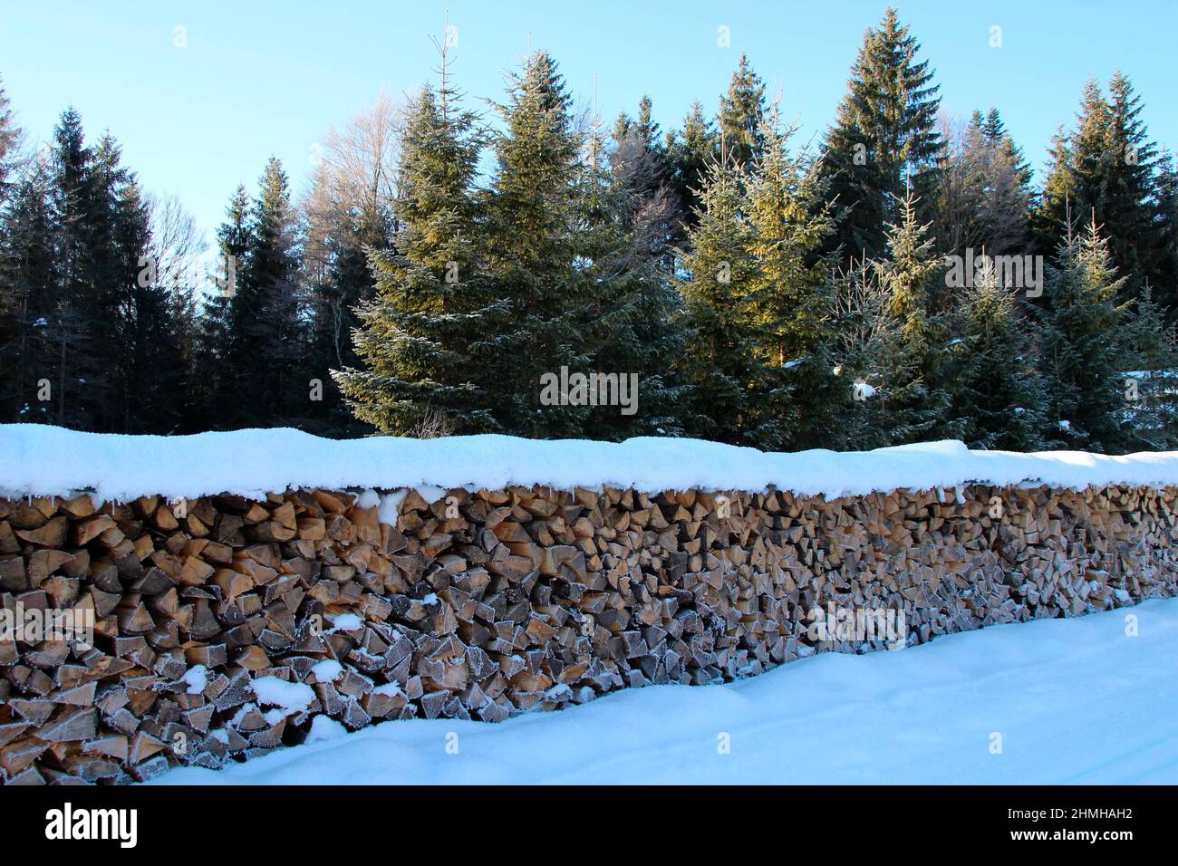 Escursione invernale tra Krün e Wallgau, deposito legno in paesaggio nevoso, Germania meridionale, alta Baviera, neve, inverno, Nevoso, alberi, Germania, Baviera, Werdenfels, Foto Stock