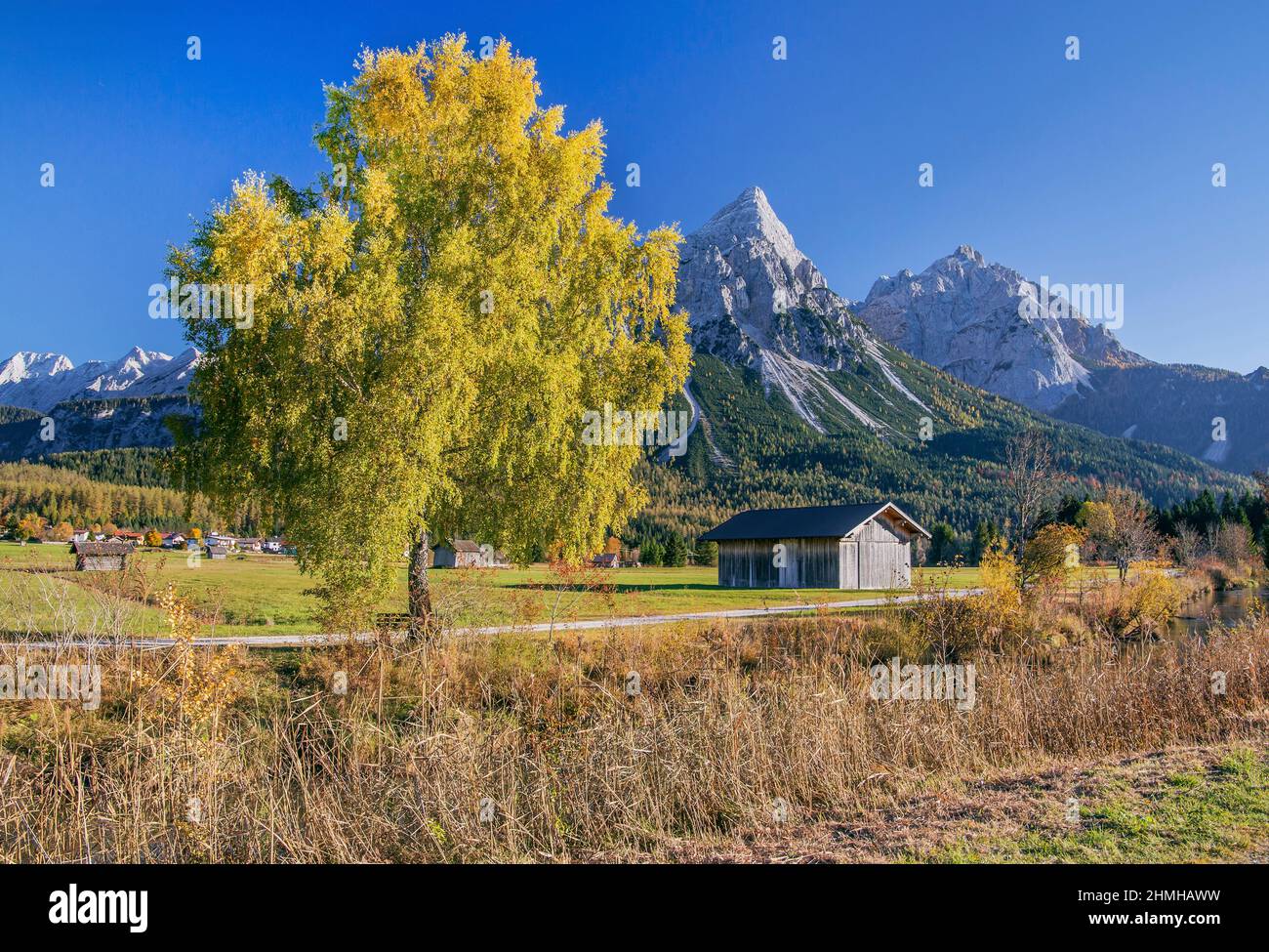 Paesaggio autunnale nel Lermooser Moos contro il Sonnenspitze 2417m nella catena Mieminger, Ehrwald, Loisachtal, Tirolo, Austria Foto Stock