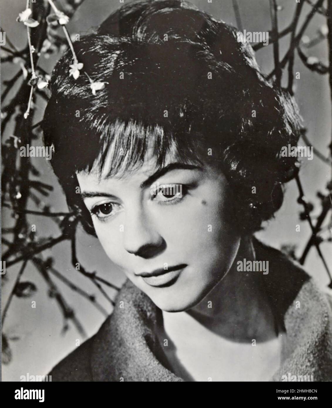 DOROTHY TUTIN (1930-2001) Italiano, scenografia, film e attrice TV circa 1960 Foto Stock