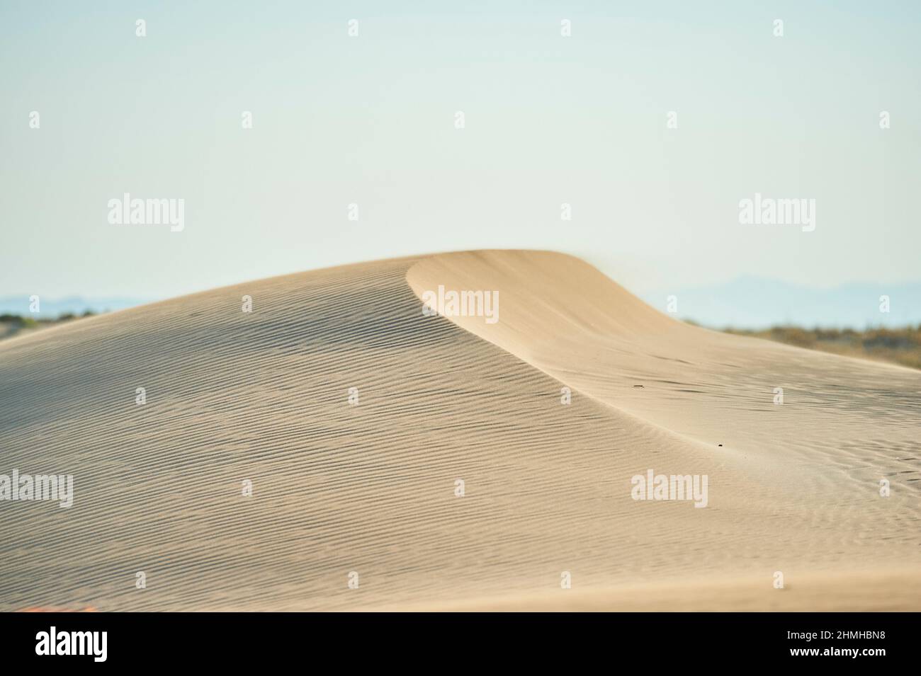 Dune di sabbia, delta del fiume Ebro, Catalogna, Spagna Foto Stock