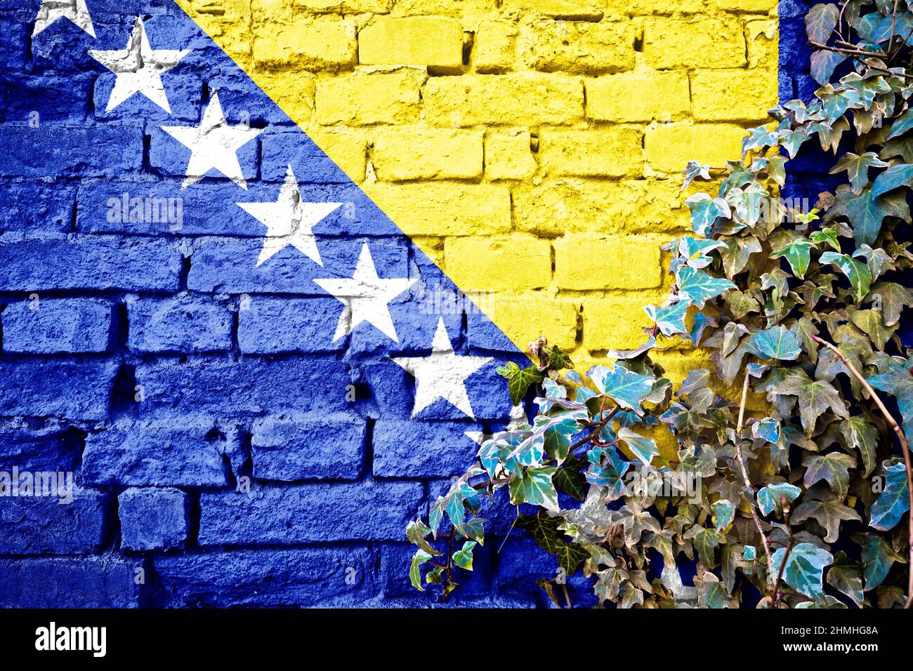Bosnia ed Erzegovina bandiera grunge su muro di mattoni con pianta di edera, simbolo di paese concetto Foto Stock