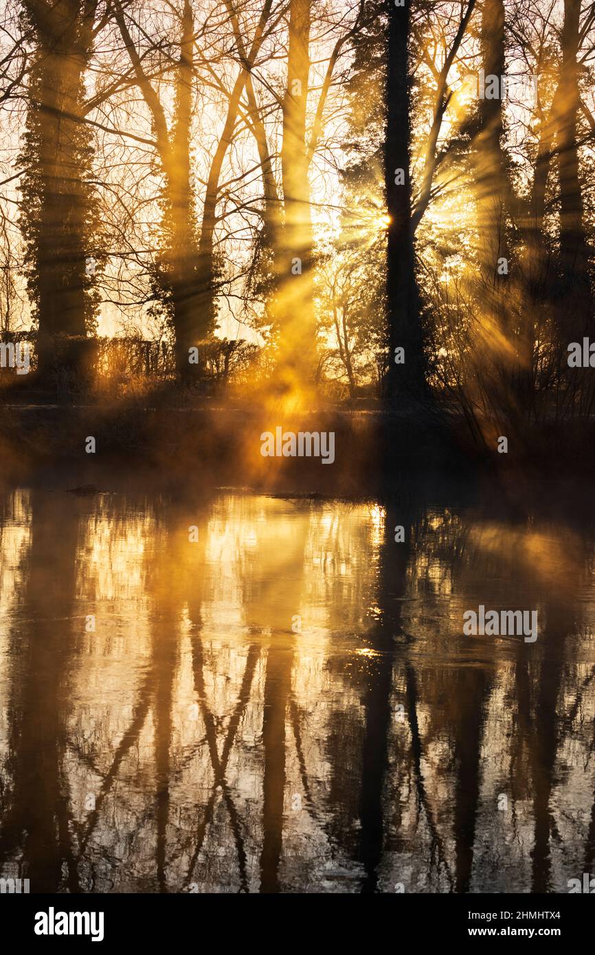 Raggi di luce del sole attraverso la nebbia all'alba con alberi di sagome riflessi nel Tamigi, Lechlade-on-Thames, Cotswolds, Gloucestershire, Inghilterra, REGNO UNITO Foto Stock