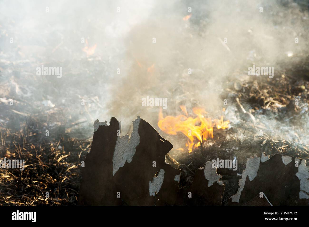 Fumo dopo il fuoco di erba sulle Wetlands. Le canne bruciano. Foto Stock