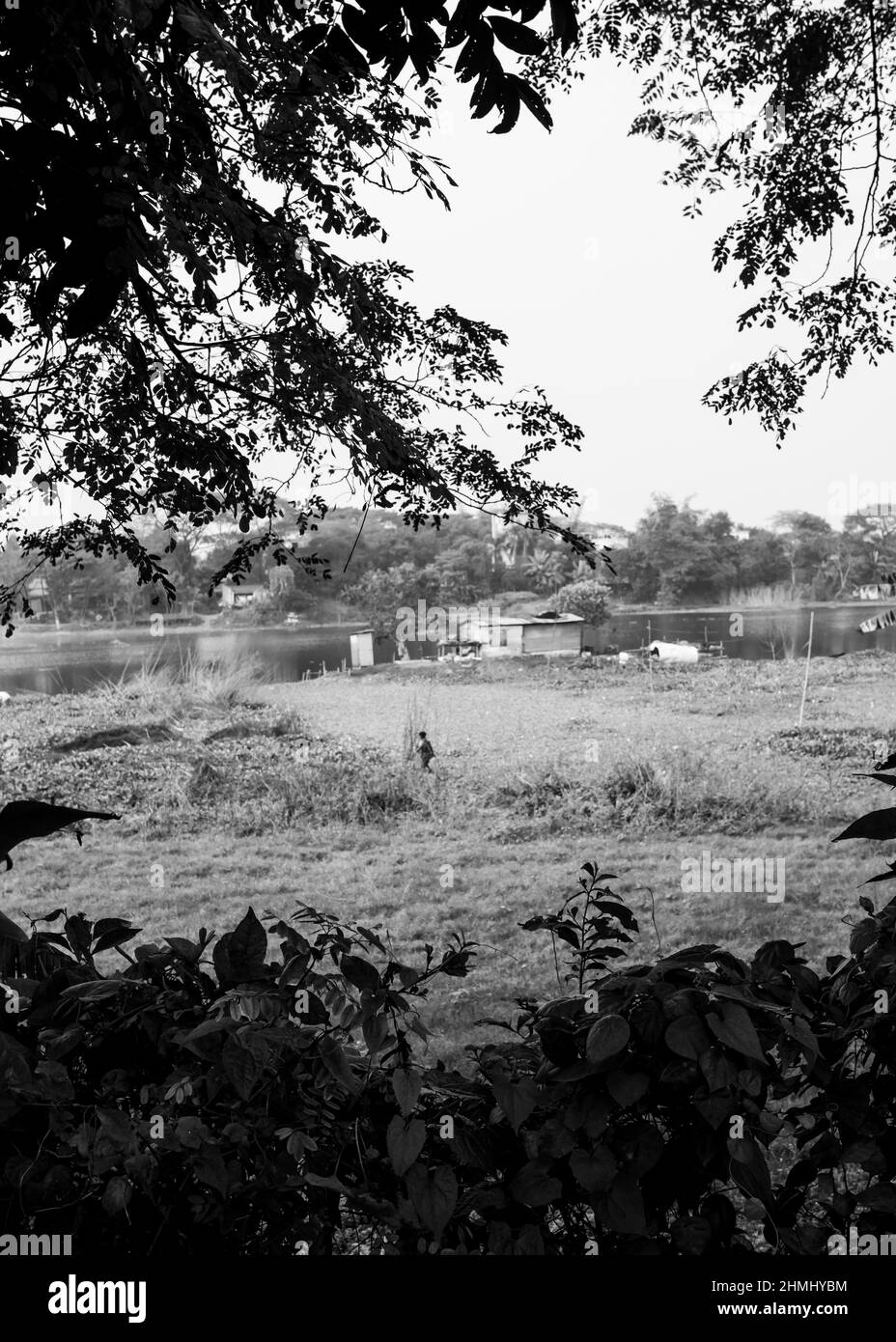 Persone che lavorano da sole nel settore agricolo. Questa immagine è stata catturata il 31 gennaio 2022, da Kolatea, Najir Char, Bangladesh, Asia meridionale Foto Stock