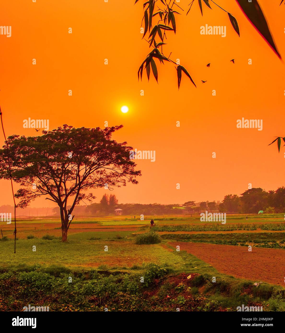 Tramonto drammatico e colorato in inverno. Questa immagine è stata catturata da me il 31 gennaio 2022, da Kolatia, Bangladesh, Asia meridionale Foto Stock