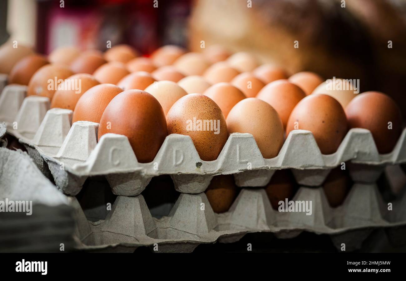 Uova di pollo gratuite su vassoi in un negozio di fattoria Foto Stock