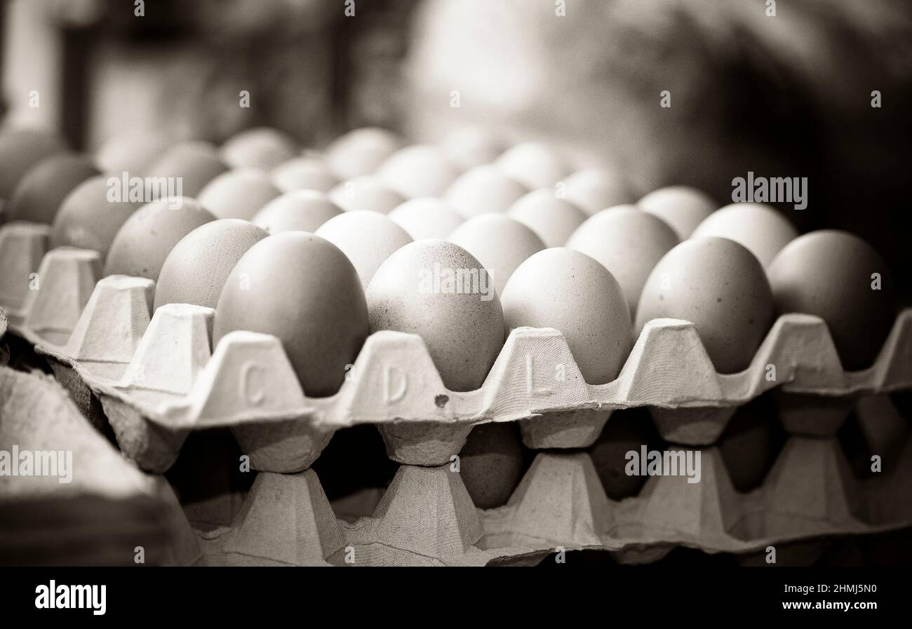 Uova di pollo gratuite su vassoi in un negozio di fattoria Foto Stock