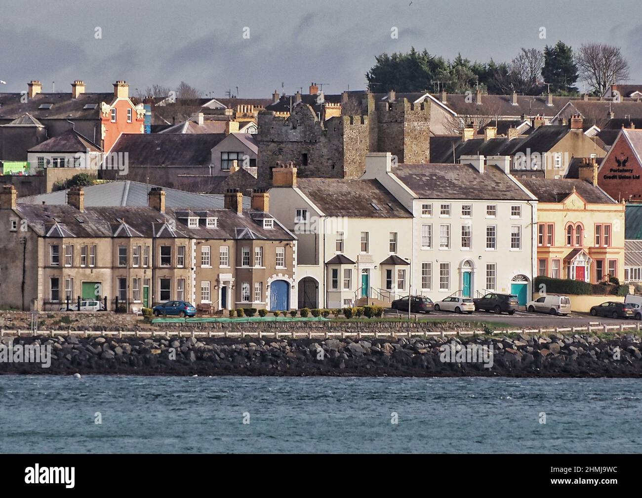 Vista da Castle Ward, County Down, Irlanda del Nord Foto Stock
