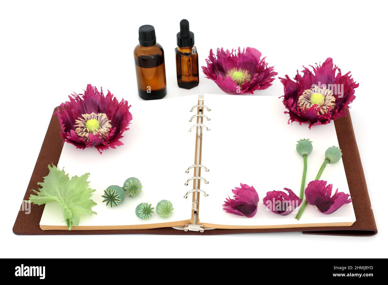 Fiori di erbe di papavero orientale con cialde di semi e vecchio notebook in pelle con bottiglie di olio essenziale. Usato in medicina naturale della pianta di erbe. Foto Stock