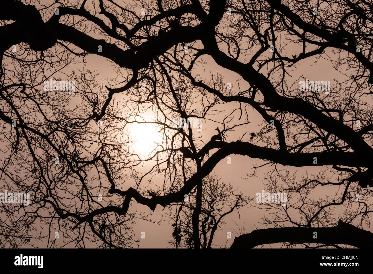 Surrey, Regno Unito, 10th Feb 2022. Il sole nebuloso si infrange attraverso le nuvole in un pomeriggio freddo ma generalmente luminoso nel sud-ovest di Londra. Foto Stock