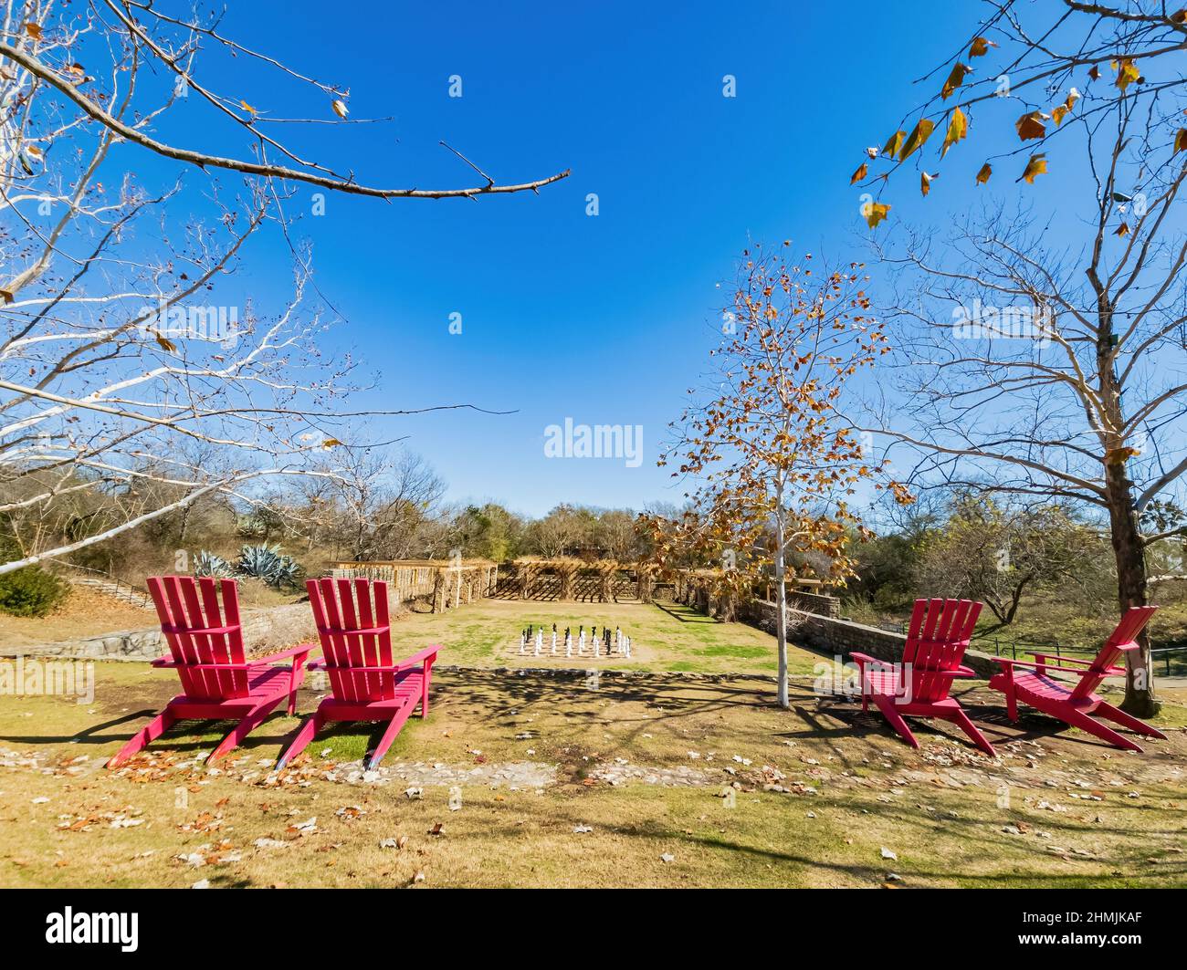 Vista soleggiata della scessmate nel giardino botanico di San Antonio in Texas Foto Stock