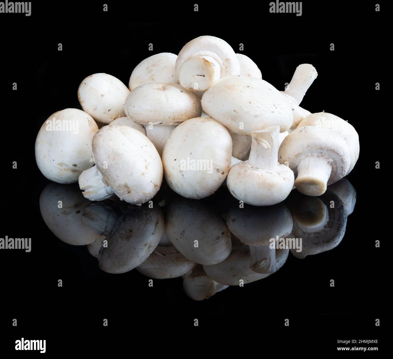 Funghi su sfondo nero riflettente studio Foto Stock