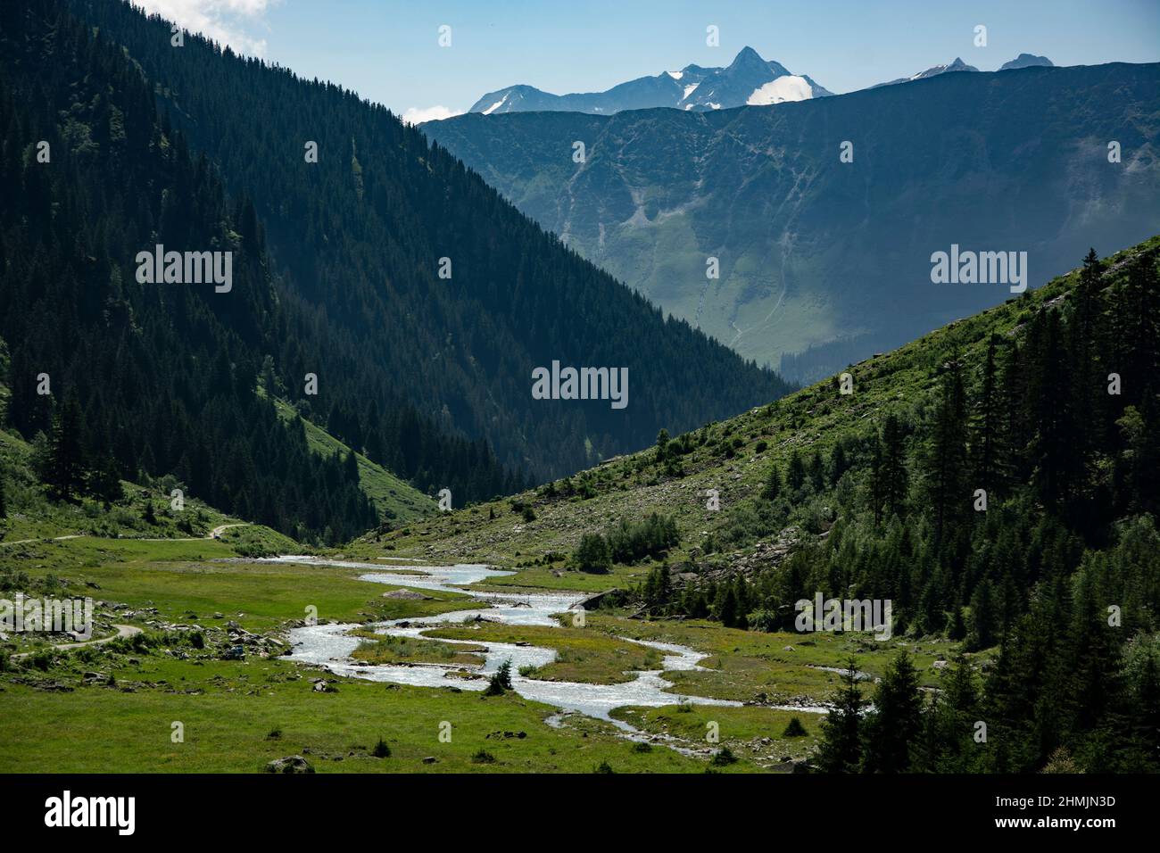Das Val Russein, Aue von Nationaler Bedeutung, in den Bündner Alpen Foto Stock