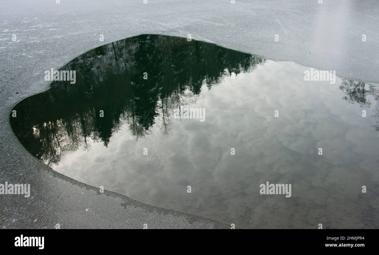 Spiegelung Eines Walds auf einem gefrorenen Teich im Lützeltal Foto Stock