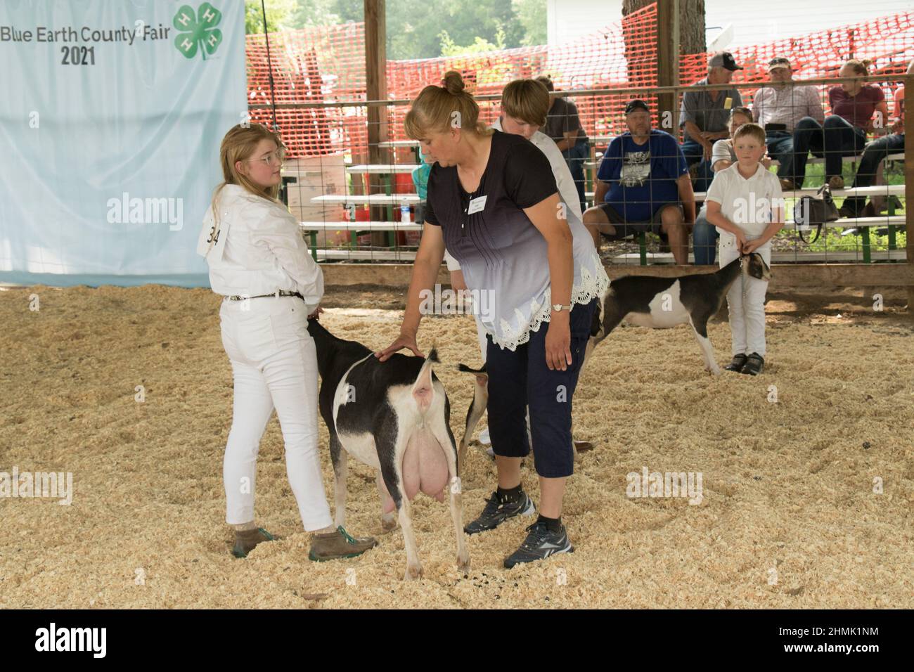 Zoe Johnson, membro della Blue Earth County 4-H, mostra la sua capra da latte LaMancha alla Blue Earth County Fair Foto Stock