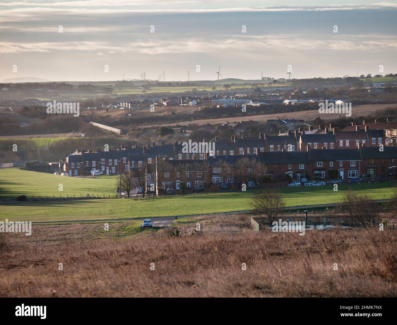 Easington Colliery County Durham file di case a schiera con un treno Biomass che passa sullo sfondo e cappero tappato in primo piano Foto Stock
