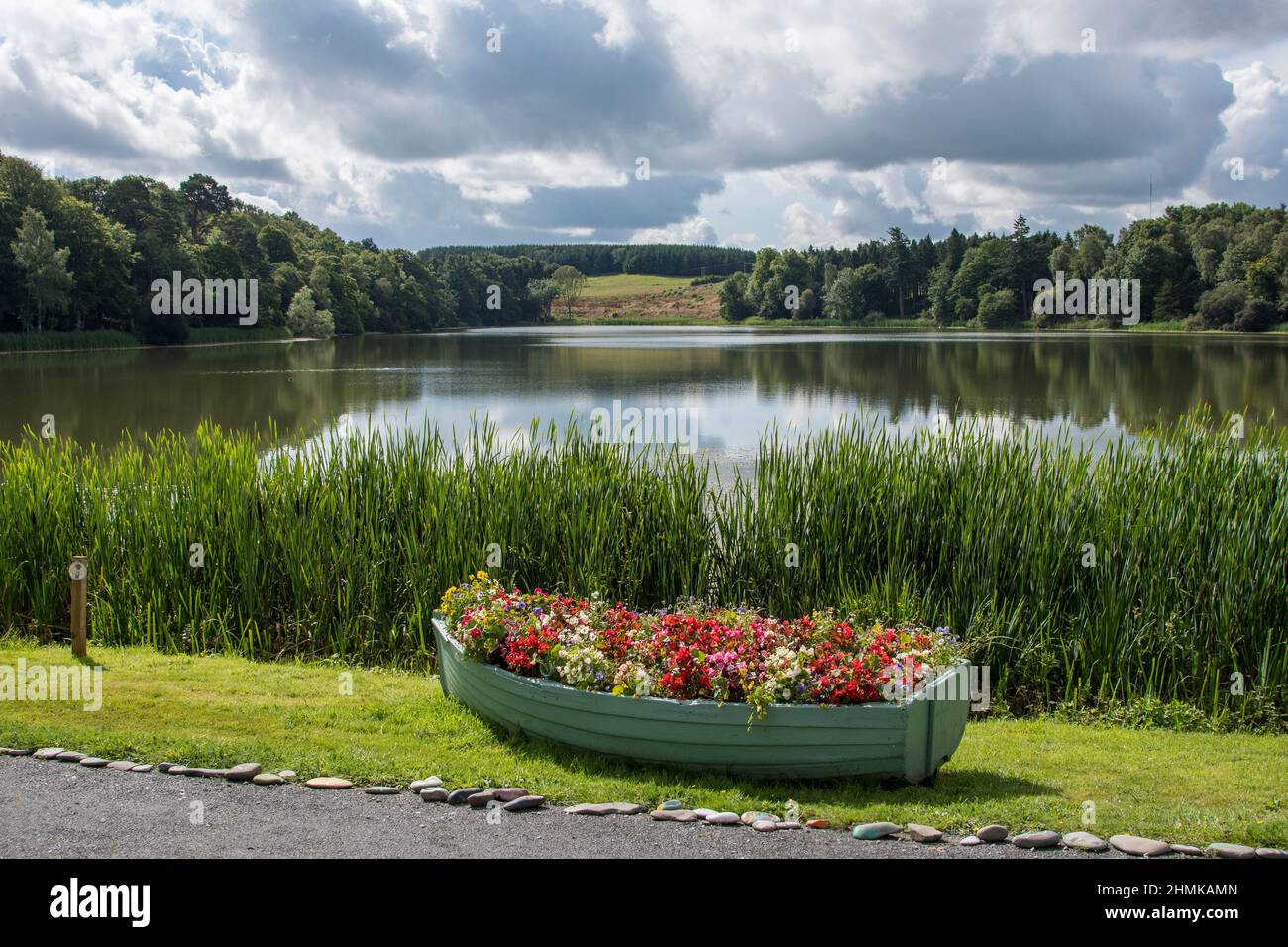 Barca a fila piena di fiori, Haining Loch, Selkirk Foto Stock