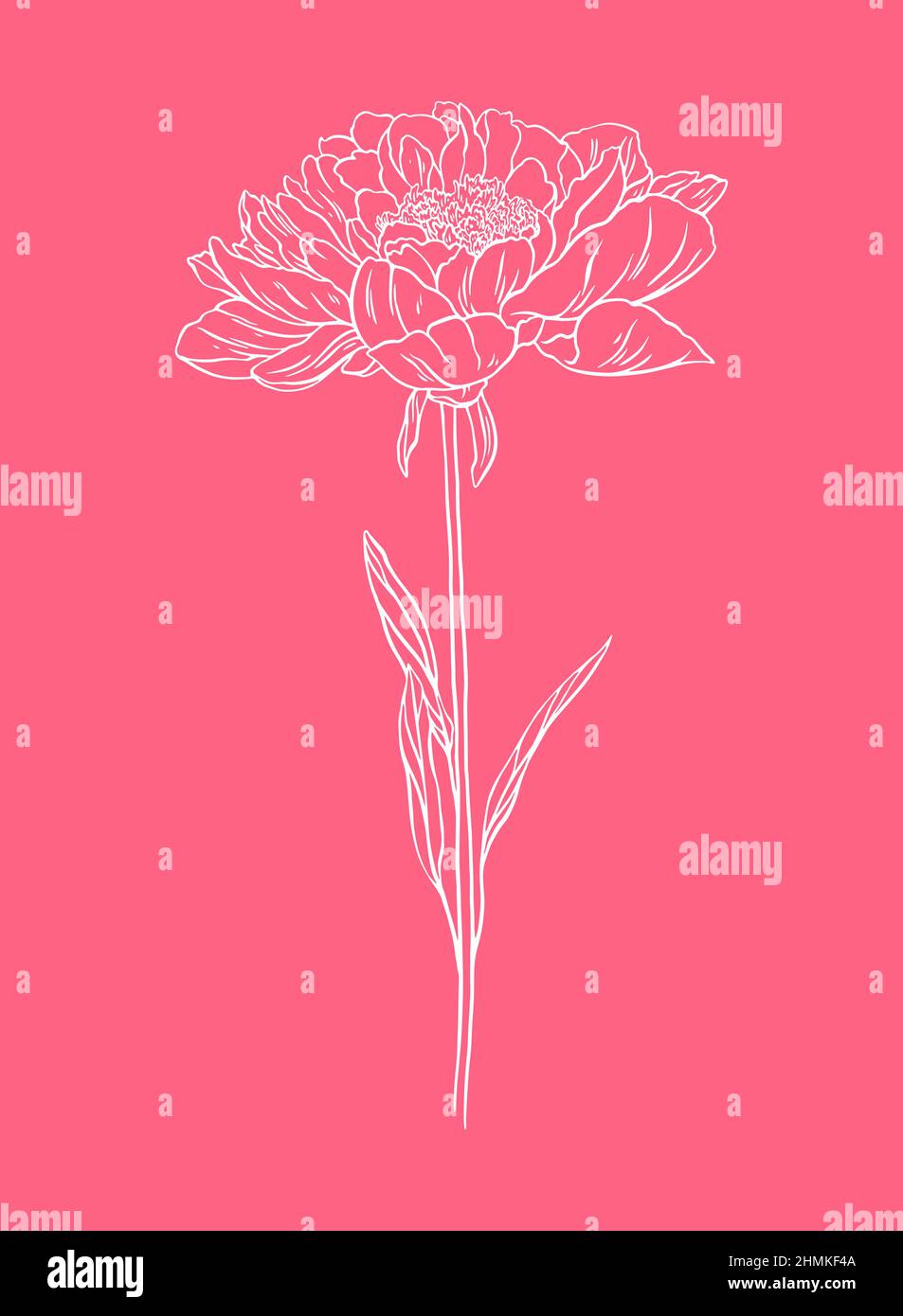 Bella illustrazione di disegno di arte della linea del fiore della peonia Illustrazione Vettoriale