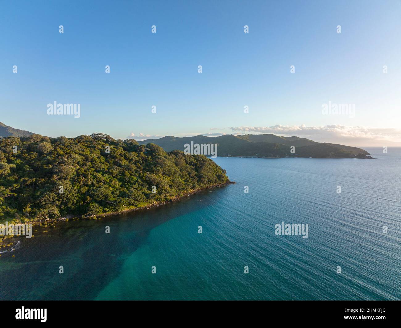 Great Barrier Island, Auckland, Nuova Zelanda Foto Stock