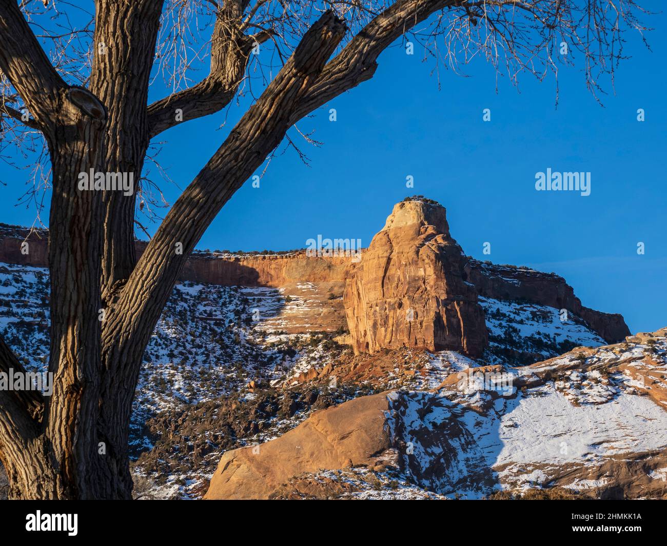 Sunrise Light sulle scogliere del Colorado National Monument dalla zona di Redlands, Grand Junction, Colorado. Foto Stock
