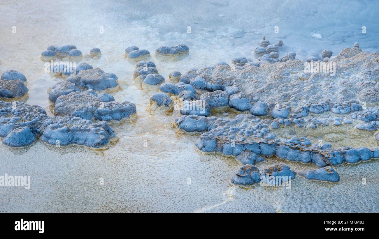 Formazioni nella piscina termale del geyser solitario nel Parco Nazionale di Yellowstone. Foto Stock