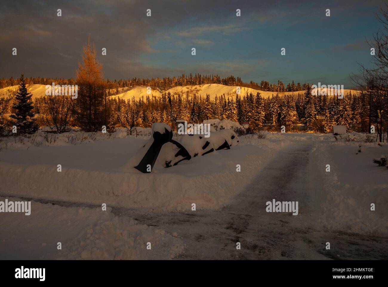 Albero motore a Whitehorse, Yukon, Canada Foto Stock