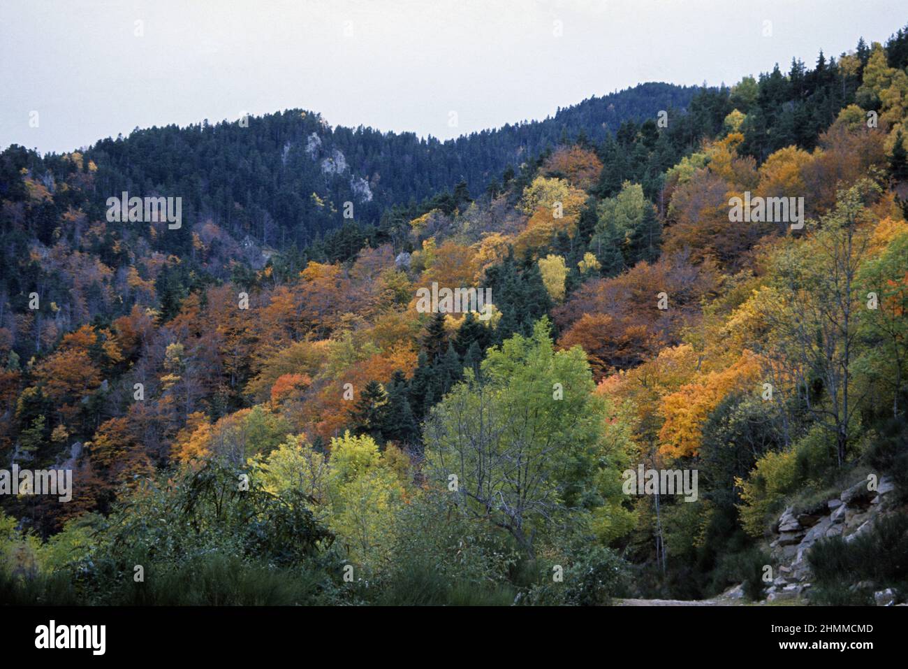 FRANCIA Pyrénees orientales Canigou montagna Foto Stock