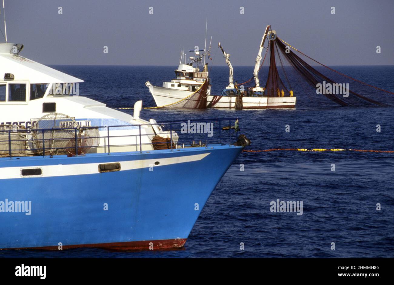 Pesca del tonno rosso Mare mediterraneo Isole Baleares Spagna Foto Stock