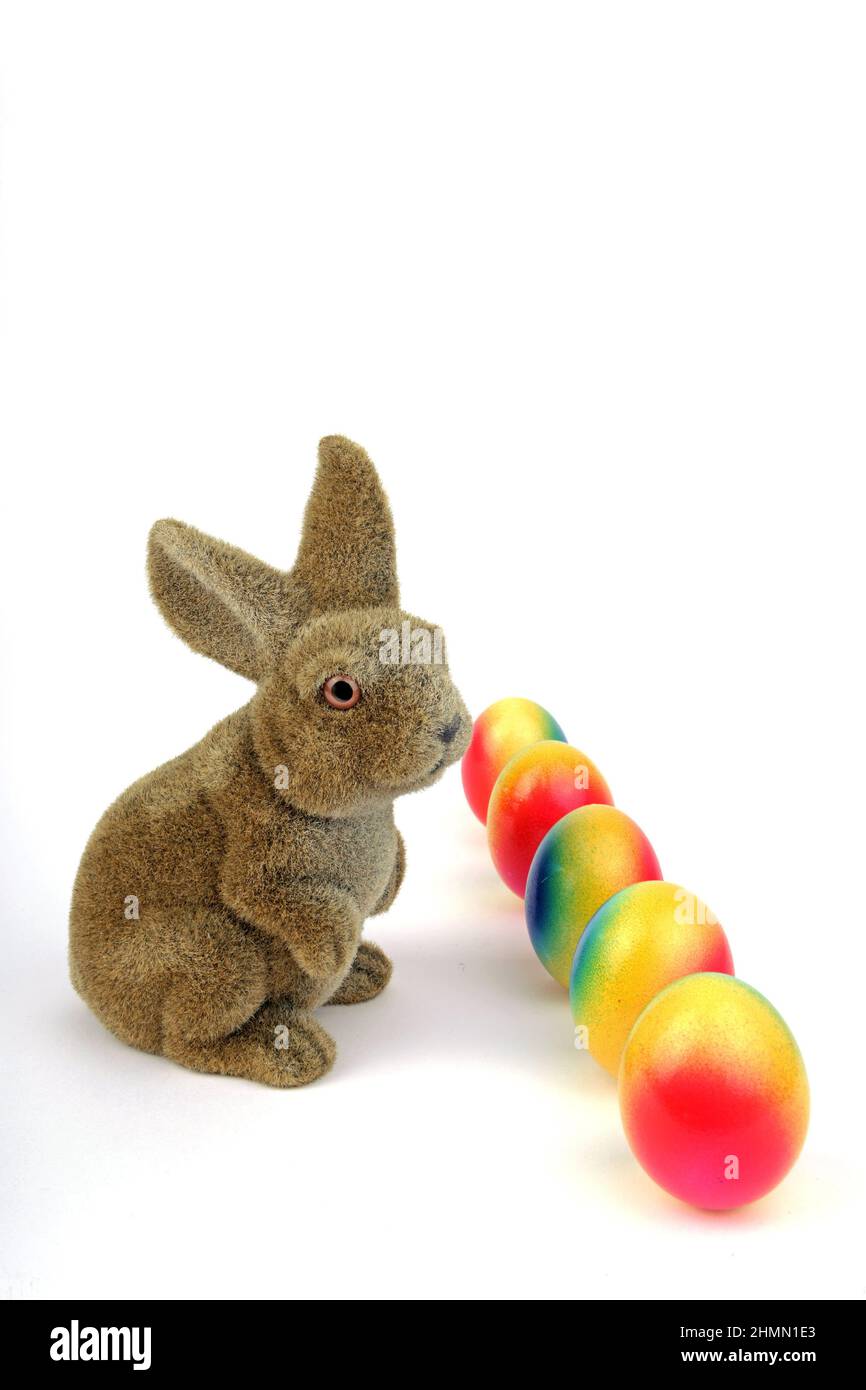 Coniglietto pasquale decorativo seduto in una fila di uova di Pasqua colorate, ritagliato Foto Stock