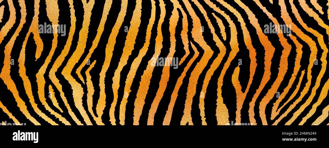 tiger skin stampa come sfondo per il tuo design Foto Stock
