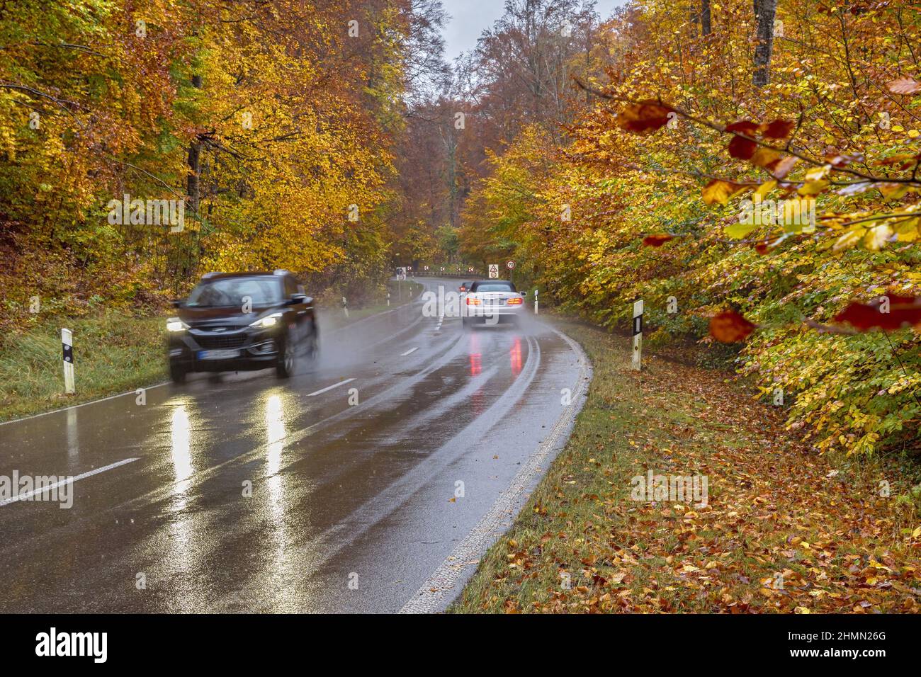 Strada di campagna bagnata attraverso una foresta autunnale sotto la pioggia, Germania, Baviera, Oberbayern, alta Baviera Foto Stock